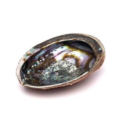 Grüne abalone räucherschale - grüne,
