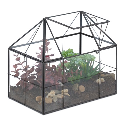 Pflanzenterrarium florarium - pflanzenterrarium,
