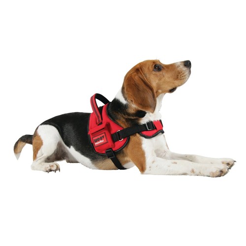 Zolux hundegeschirr moov - zolux,