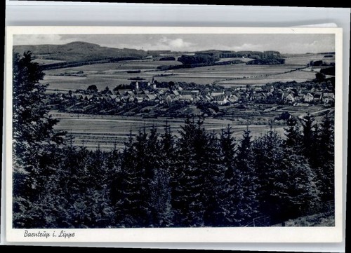 Barntrup - ,