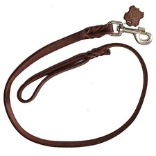 Hundeleine große Hunde