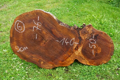 Baumscheibe xxl holzscheibe - baumscheibe,