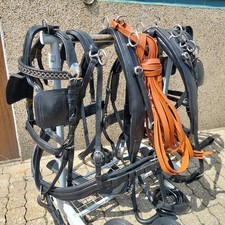 Top  Exklusive Zweispänner