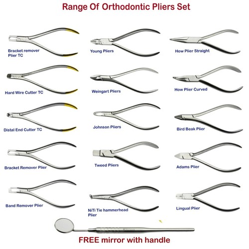 Dental kieferorthopädische - dental,