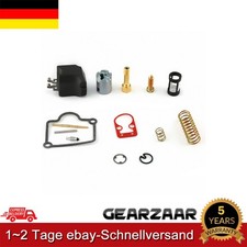 Vergaser Reparatursatz Für