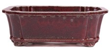 Bonsai - Schale eckig 36 x 28 x 12.5 cm  bordeaux  frostfest 40462