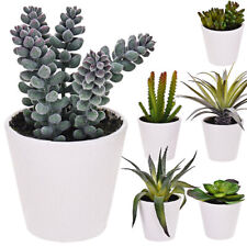 Künstliche Zimmerpflanze