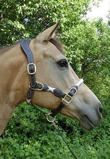 Halfter „RH-Empathia“ Soft