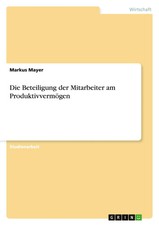 Markus Mayer | Die Beteiligung