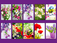 Blanko Glückwunschkarten