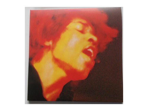 The jimi hendrix - the,
