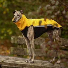 Sofshelljacke Windhund - Wintermantel Greyhound Galgo Whippet Jumper Pullover