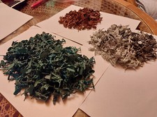 Spielzeug Minifiguren Militär