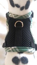 Hundegeschirr XS
