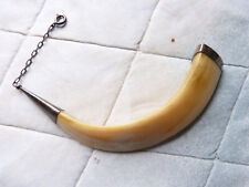 Wildschweinzahn Hauer, Keiler