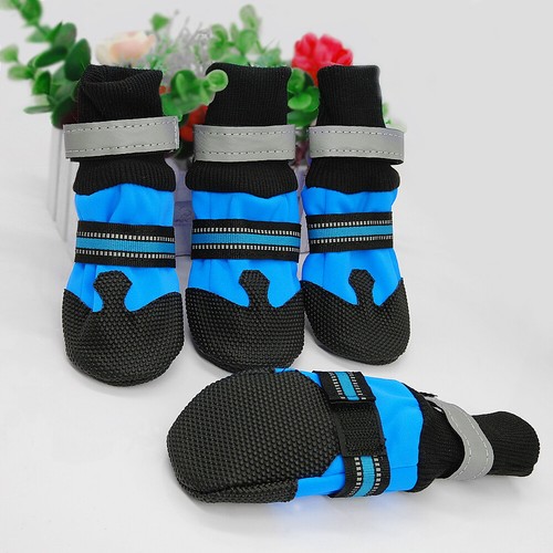 Stück hundeschuhe für - 4,