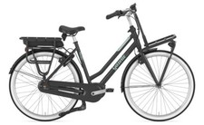 28" GAZELLE Miss Grace C7+ HMB