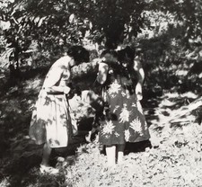 Zwei Frauen stehen im Wald und