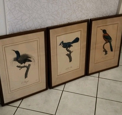 Kunstdruck bild 60er - 3,