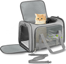 Transporttasche Hund Katze