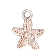 Anhänger Charm Seestern 4