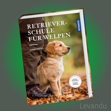 Retrieverschule für Welpen |