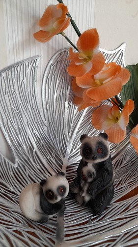 Niedliche seltene pandabär - seltene,