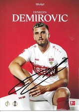 ERMEDIN DEMIROVIC-BOSNIEN