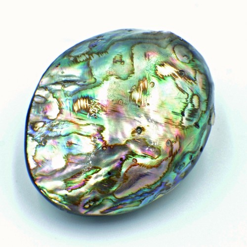 Nellys abalone perlmutt ab - nellys,