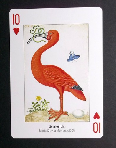 Spielkarte marai sibylla - spielkarte,