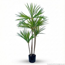 HST Kunstpflanze Drachenbaum