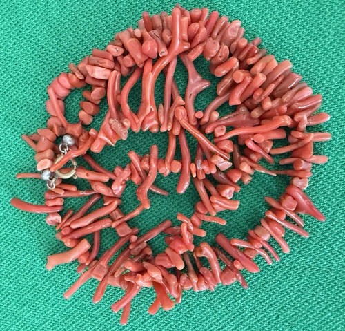 Echte korallenkette mit einer - echte,
