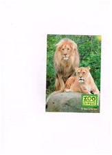 ANSICHTSKARTE- FOTOKARTE-LEIPZIG-ZOO 77