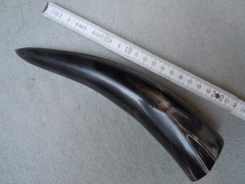 Trinkhorn methorn kuhhorn - trinkhorn,