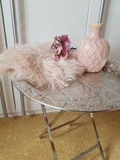 Metall Beistelltisch Rund Tisch Modern Dekotisch