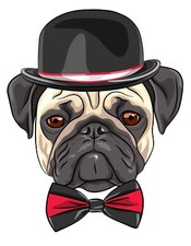 Pug dogs car sticker - pug,