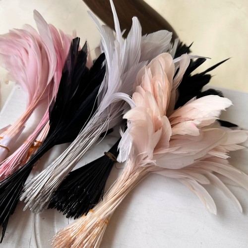 Bunt gemischte coque federn - gemischte,