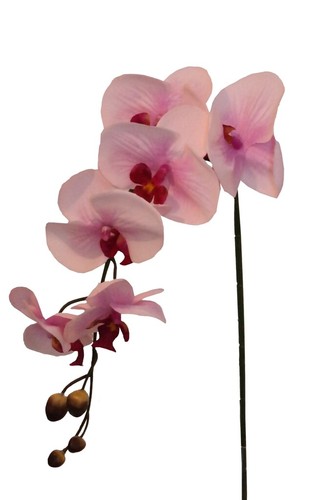 Künstliche phalaenopsis rosa - künstliche,