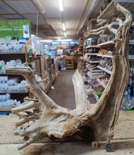 Großes Shinrin Wurzelholz