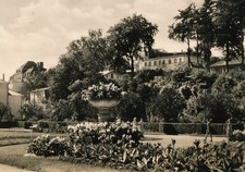 01-511 Ansichtskarte Heringsdorf Ostseebad Usedom Vorpommern-Greifswald Blumen