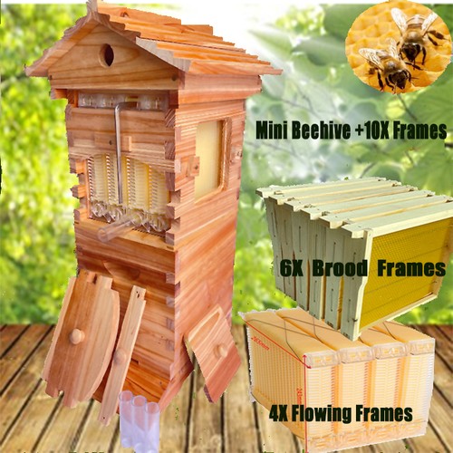 Mini bienenstöcke beehive - bienenstöcke,