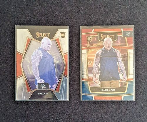 Panini wwe select 2022 - panini,