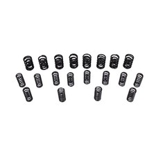 Verstärkte Ventilfedern