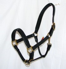 FSS Deutsch Leder POSH