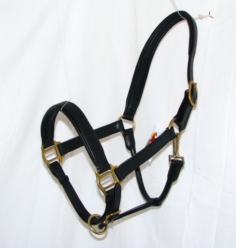 Fss deutsch leder posh - leder,