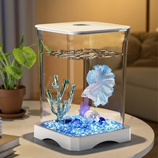 Aquarium kits schreibtisch - aquarium, kits,schreibtisch