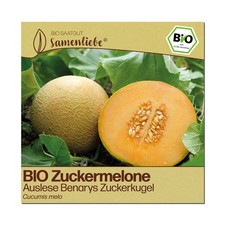 Samenliebe BIO Melone Samen