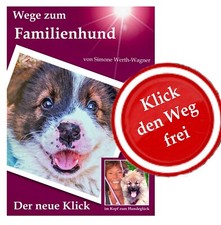 Hunde-Welpe: Wege zum