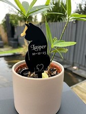 Haustier Gedenktafel Katze