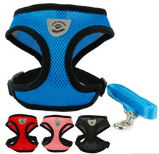 CHIHUAHUA YORKI HUNDEGESCHIRR